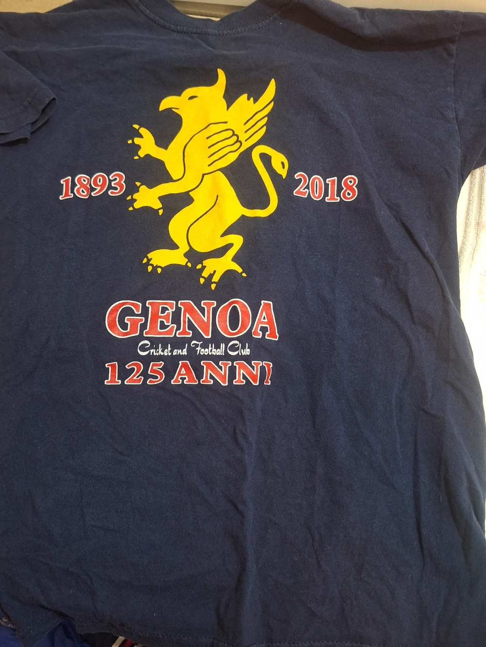 Fruit of the Loom Navy Kids Tee with Yellow Griffin and Red Text